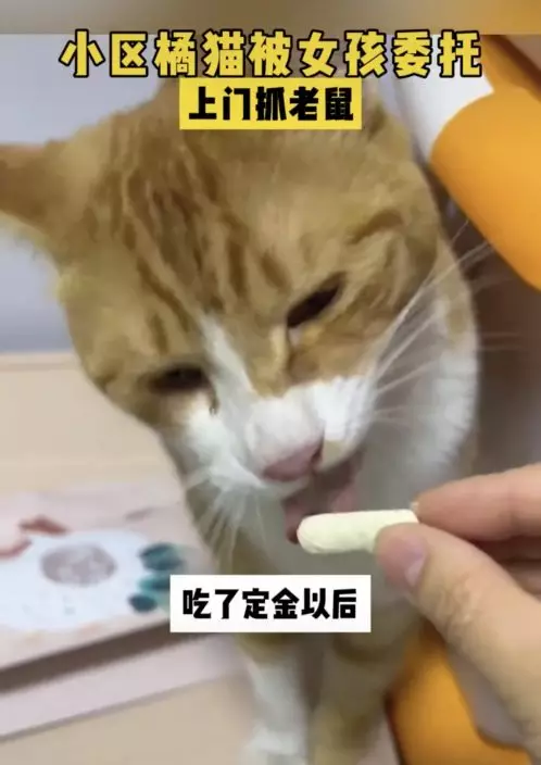 影片截圖