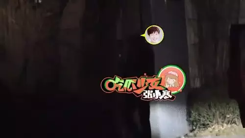 狗仔隊拍攝到魏大勛深夜進入秦嵐北京住所。網上圖片