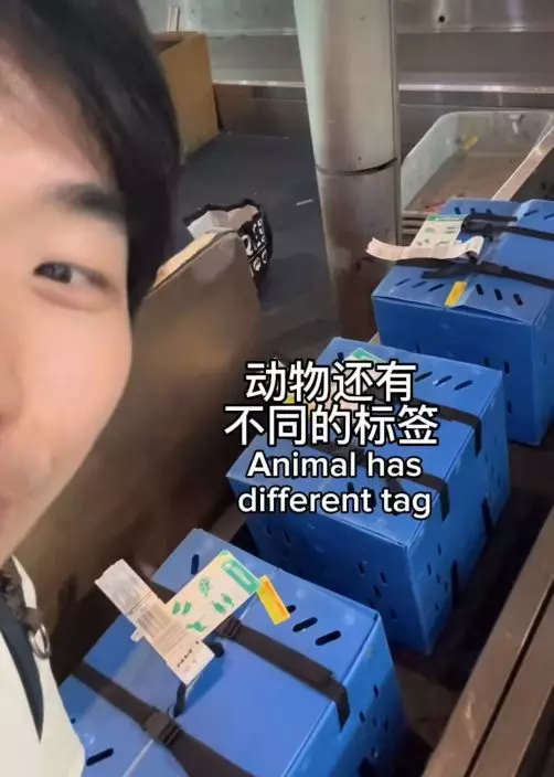 影片截圖