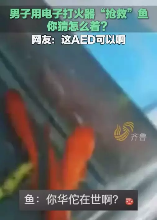 影片截圖