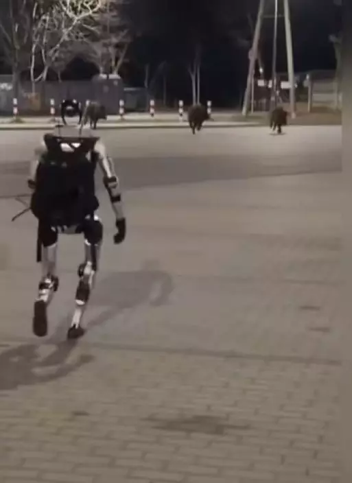 機械人追趕野豬細節