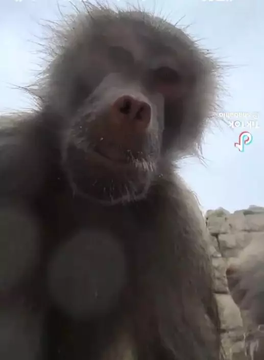 影片截圖