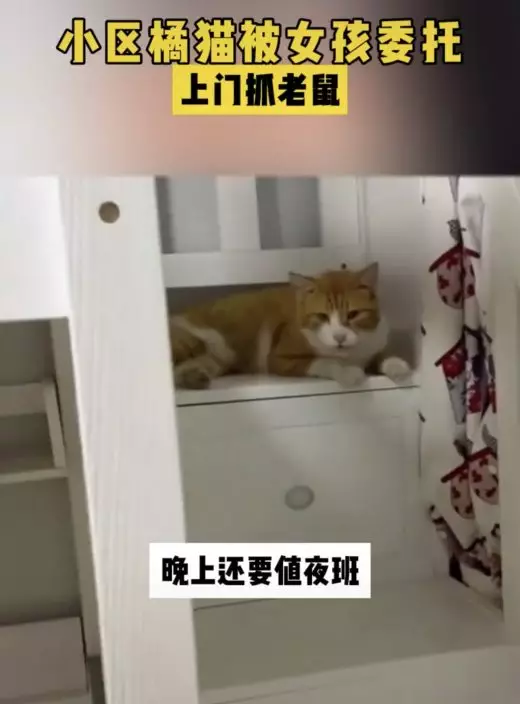 影片截圖
