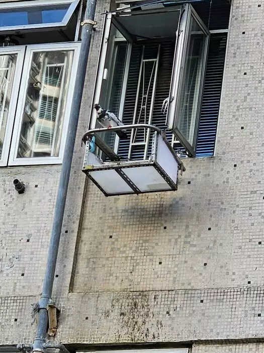 涉事單位在窗外以鐵通及白色膠板搭建了一個「鴿台」，有野鴿停留在「鴿台」上休息。（FB圖片）