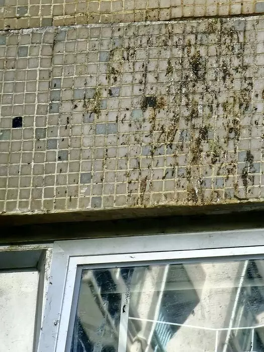 糞漬蔓延到樓下窗戶。（FB圖片）