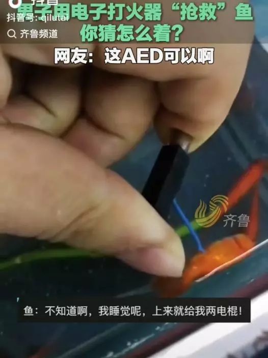 影片截圖