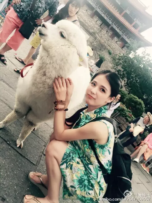 圖:新浪微博
