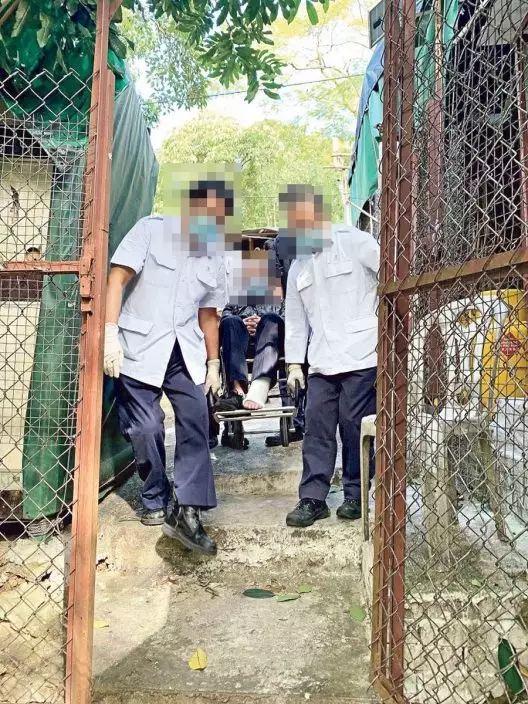 部分行動不便的病人居住在偏遠的地方,需由非緊急救護車運送服務員接送他們到醫院覆診。 網上圖片