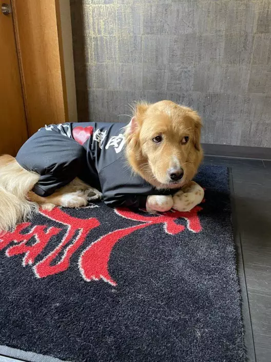 網上圖片