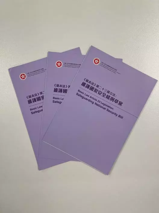 維護國家安全條例草案，巴士的報記者攝