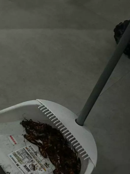 影片截圖