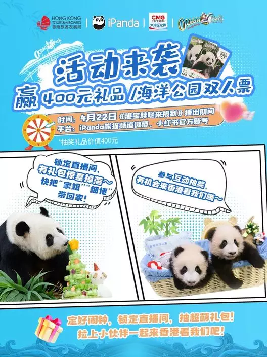 海洋公園聯同旅發局、iPanda熊貓頻道4月22日推出專題直播「港寶胖噠來報到」,帶大家深入後台,圍觀家姐、細佬日常萌態。iPanda小紅書圖片