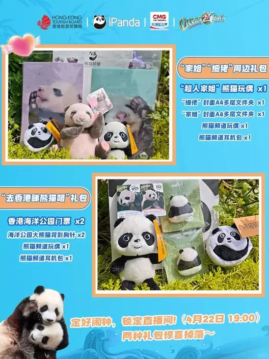 海洋公園聯同旅發局、iPanda熊貓頻道4月22日推出專題直播「港寶胖噠來報到」,帶大家深入後台,圍觀家姐、細佬日常萌態。iPanda小紅書圖片