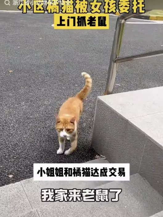 影片截圖