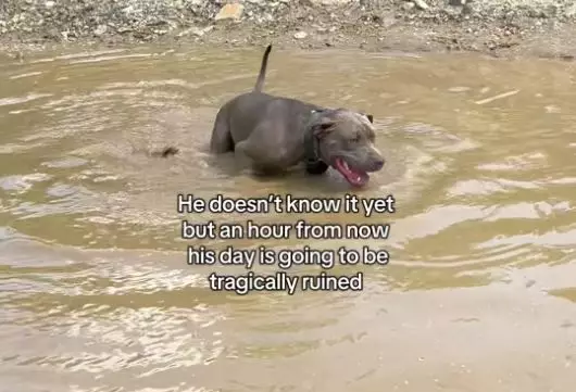 影片截圖