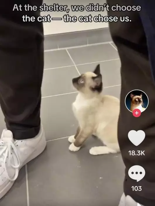 影片截圖