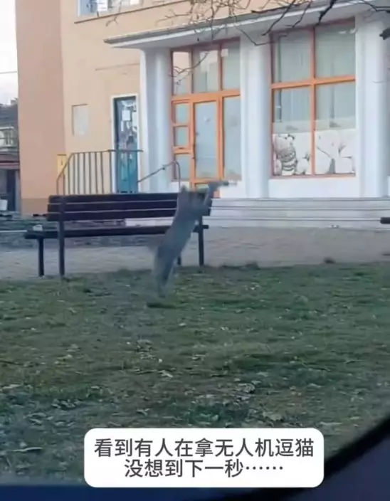 影片截圖