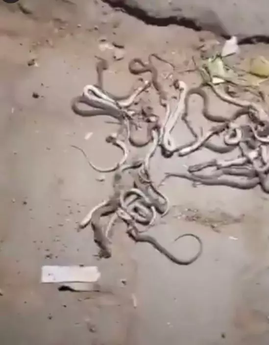 影片截圖