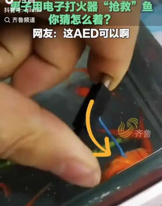 影片截圖