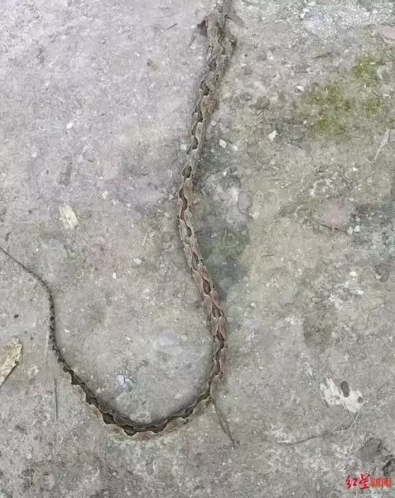 影片截圖