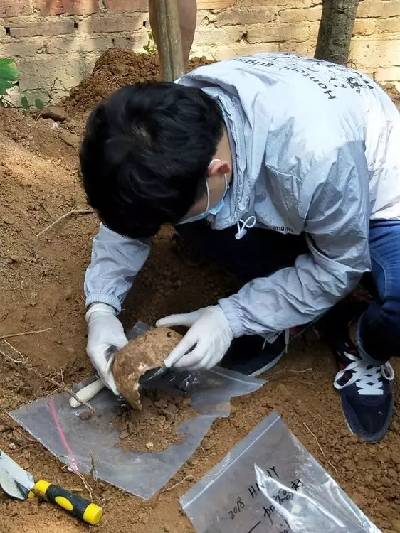 義工檢視遺骸 (網上圖片)