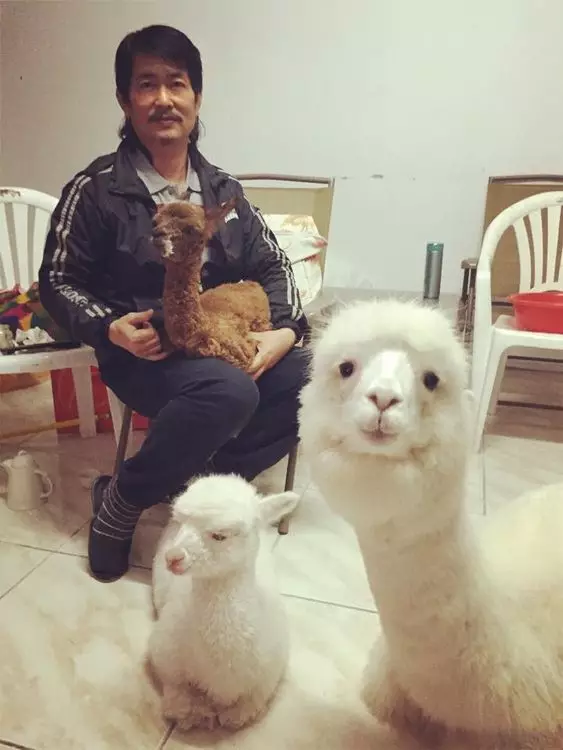 白雪雪,真係好可愛呀。(圖片來源:Facebook)