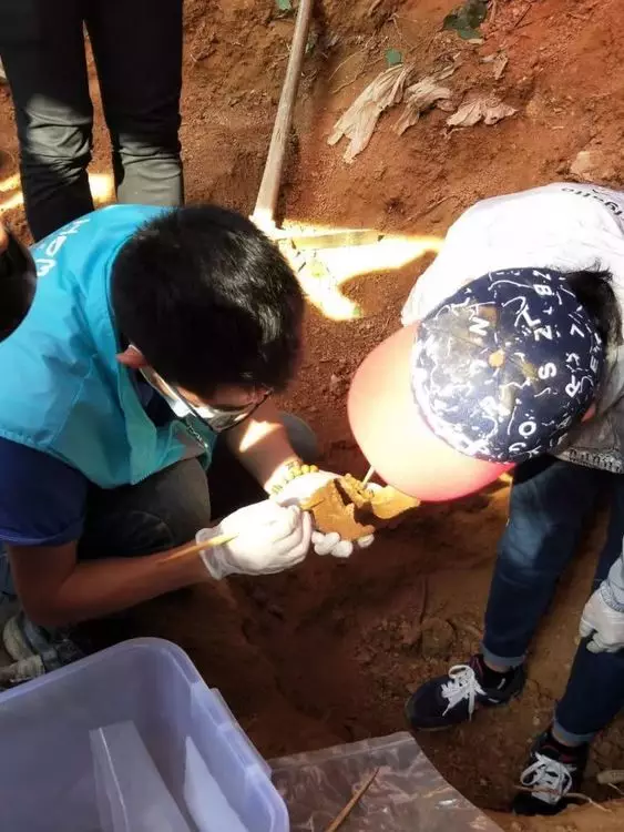 義工檢視遺骸 (網上圖片)