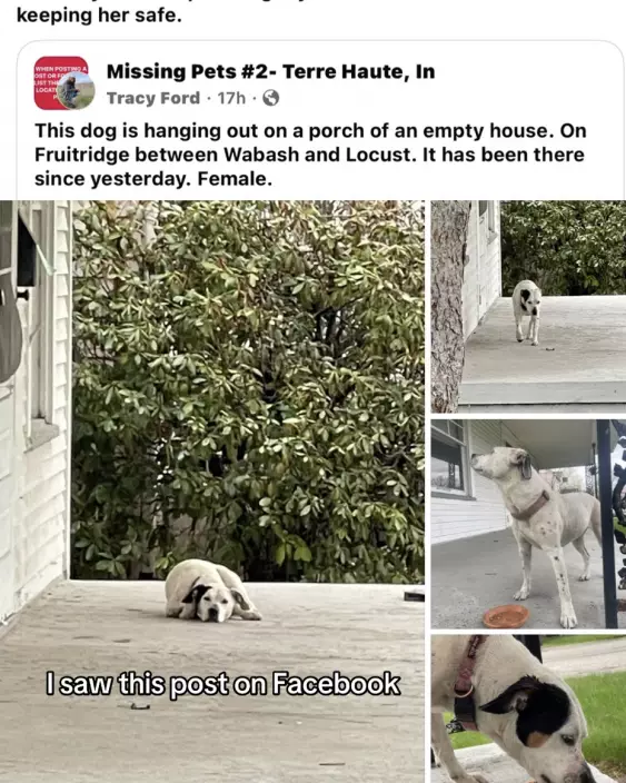 影片截圖