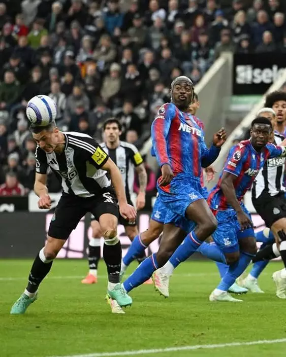 FB圖片@Newcastle United