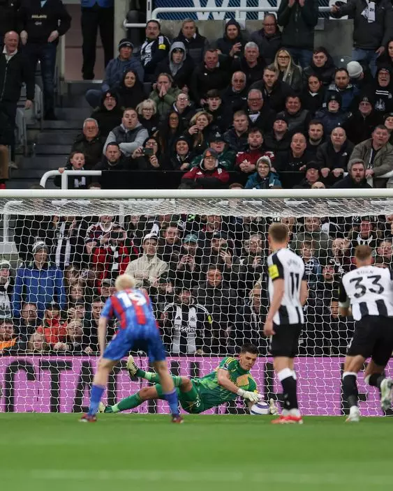 FB圖片@Newcastle United