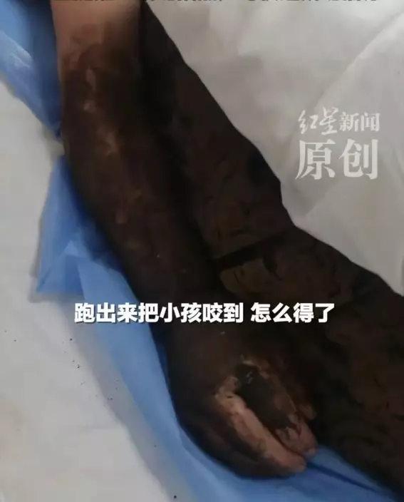 影片截圖