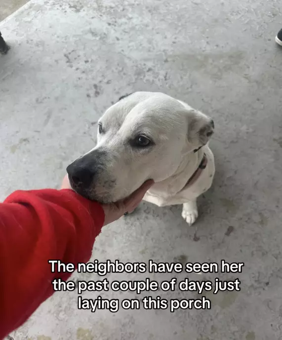 影片截圖