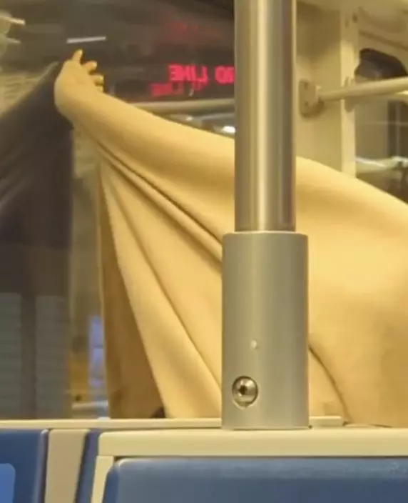 加拿大輕軌列車上演活春宮，披着毛毯的事主單手撐着車窗。 網片截圖