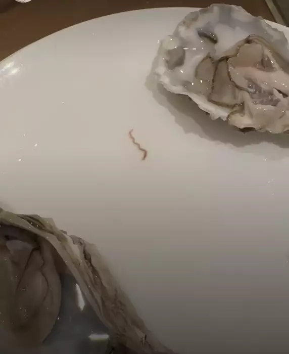 有女食客到新界東一間酒店食自助餐，嚇然發現生蠔上有生猛寄生蟲蠕動。（FB影片截圓）