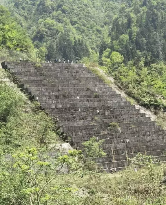 網上圖