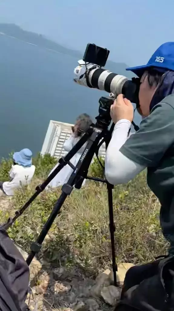 小紅書視頻截圖