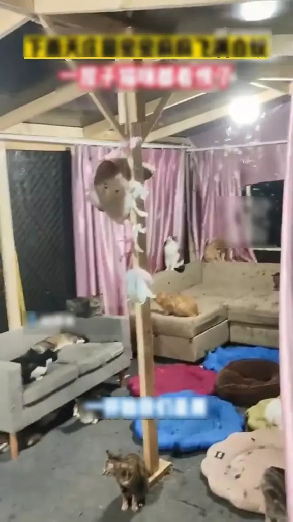 影片截圖