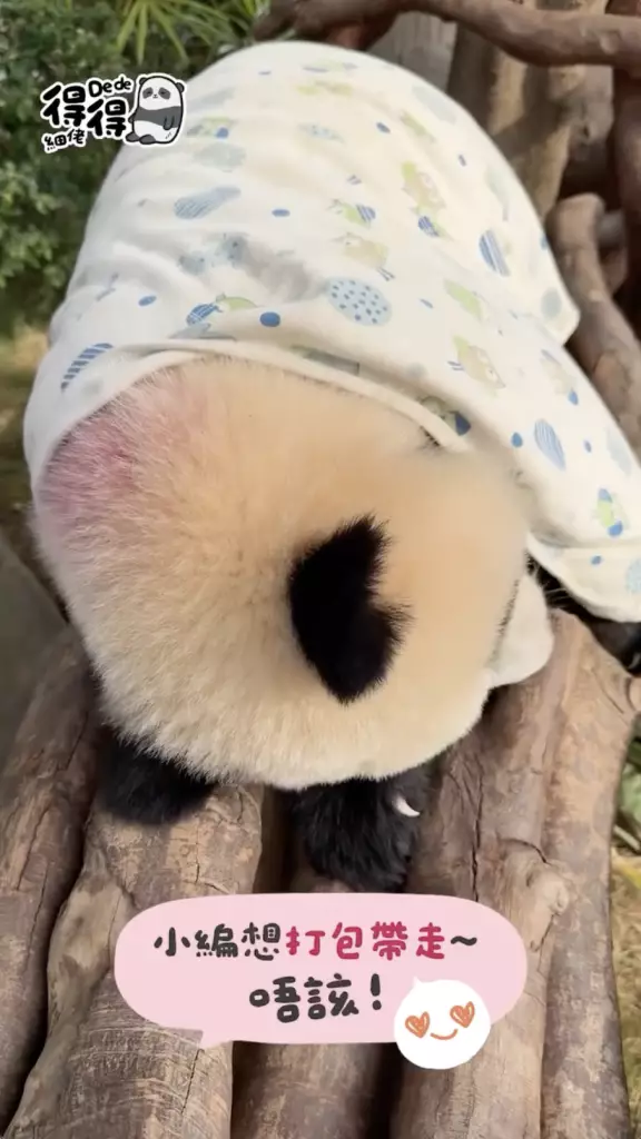 海洋公園IG圖片