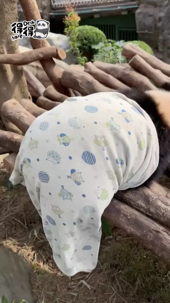海洋公園IG圖片