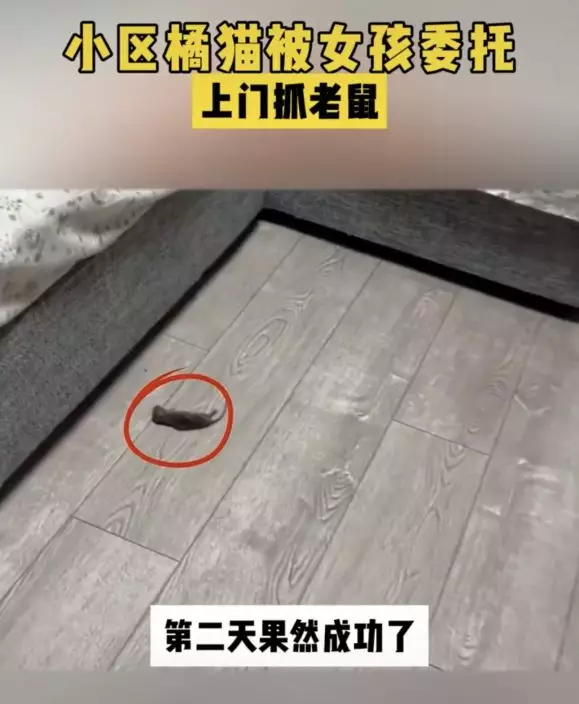 影片截圖