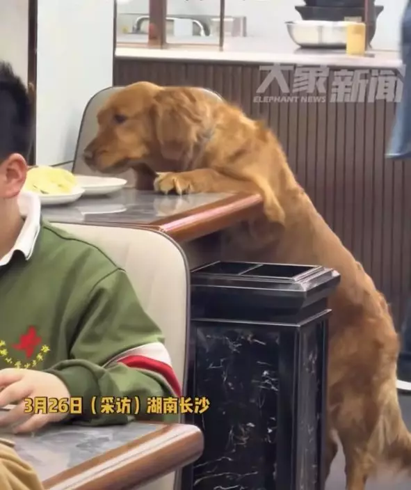 影片截圖