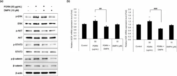 Amorepacific Research Confirms Potential of Microalgal-Derived PDRNs in Skin Regeneration and Wound Healing