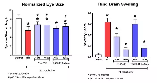 NUZ-001 Shows Promise in Zebrafish Model of Huntington's Disease