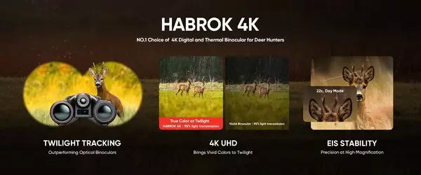How Deer Hunters Are Rewriting the Rules of Twilight with HIKMICRO HABROK 4K?