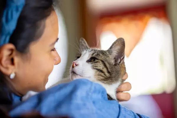 Six in 10 pet owners reveal they prefer to spend time with their pets when feeling stressed, according to new survey