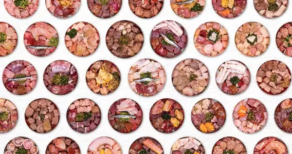 BOM BOM Secures Early Stage Investment of SGD$3.5 million to deliver Precision Pet Nutrition in Asia