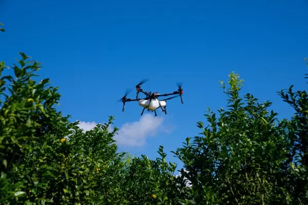 XAG Drones Give Brazilian Farmers the Edge Amid Unpredictable Weather