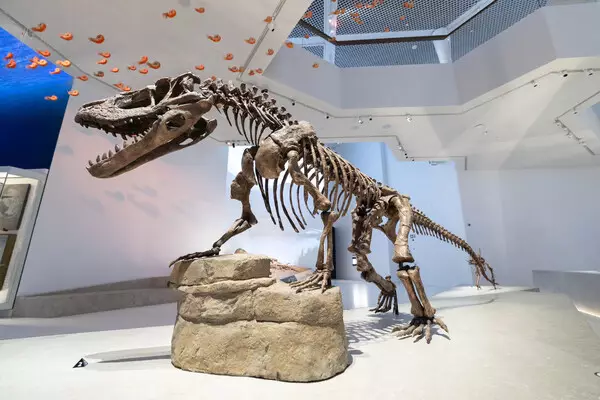 His Highness Sheikh Khaled bin Mohamed bin Zayed Al Nahyan inaugurates Natural History Museum Abu Dhabi in Saadiyat Cultural District