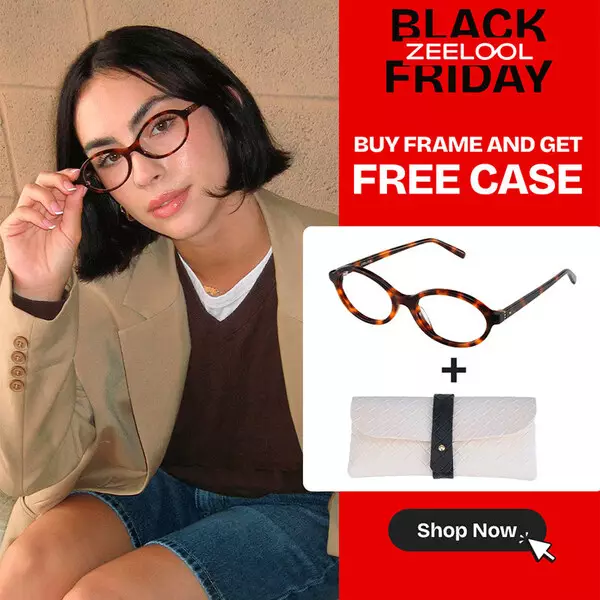 ZEELOOL Announces 2025 Black Friday and Cyber Monday Deals