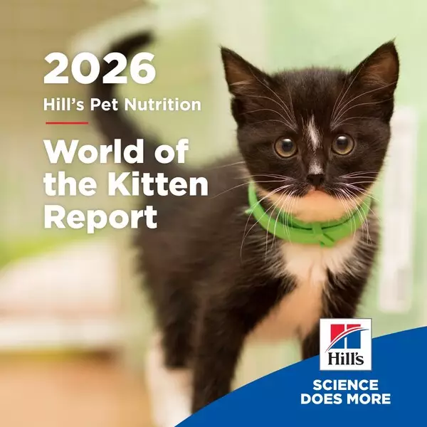 Blueprint for a Lifetime: Hill's 'World of the Kitten' Report Supports Veterinary Teams &amp; Pet Parents in Navigating the Critical First Year